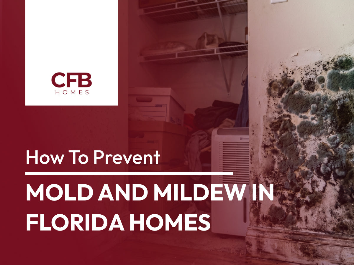 How to Prevent Mold and Mildew in Florida Homes