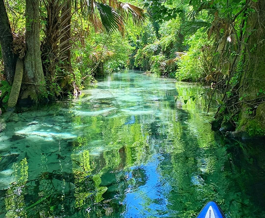 Exploring the Natural Gems of Florida: The St. Johns River, Wekiva River, and Lake Monroe